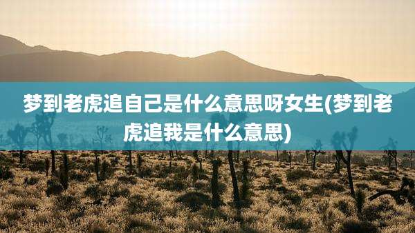 梦到老虎追自己是什么意思呀女生(梦到老虎追我是什么意思)