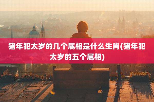猪年犯太岁的几个属相是什么生肖(猪年犯太岁的五个属相)