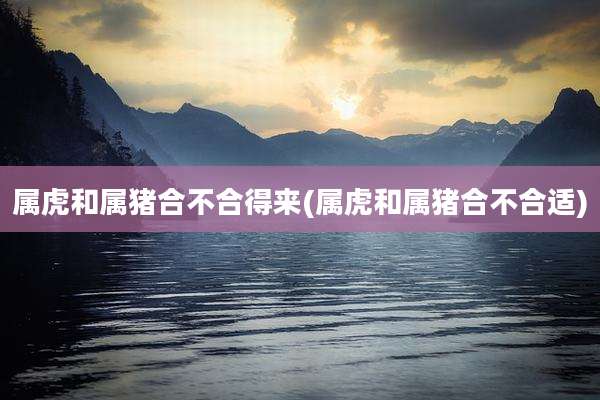 属虎和属猪合不合得来(属虎和属猪合不合适)