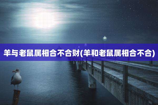 羊与老鼠属相合不合财(羊和老鼠属相合不合)