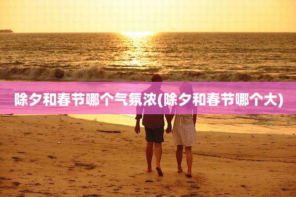 除夕和春节哪个气氛浓(除夕和春节哪个大)