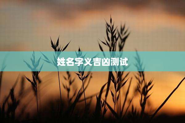 姓名字义吉凶测试