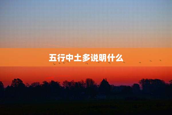 五行中土多说明什么