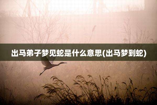 出马弟子梦见蛇是什么意思(出马梦到蛇)