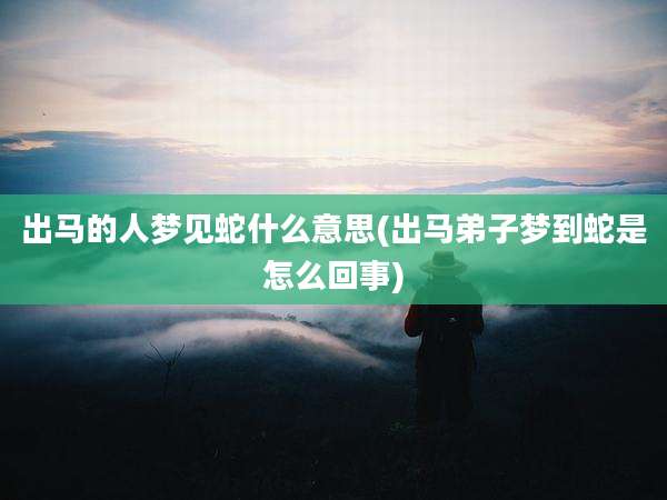 出马的人梦见蛇什么意思(出马弟子梦到蛇是怎么回事)