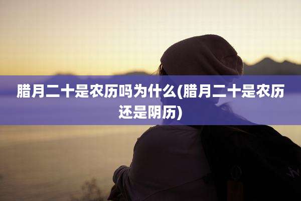 腊月二十是农历吗为什么(腊月二十是农历还是阴历)