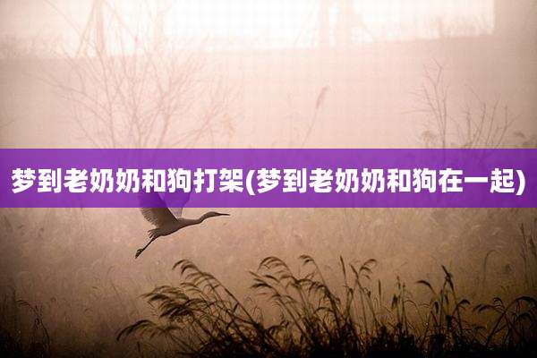 梦到老奶奶和狗打架(梦到老奶奶和狗在一起)