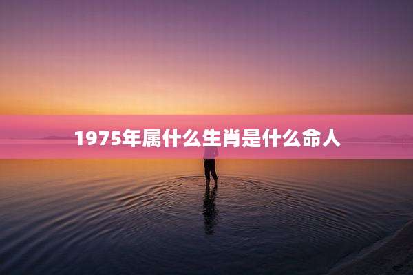 1975年属什么生肖是什么命人
