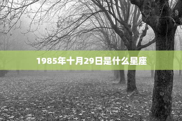 1985年十月29日是什么星座