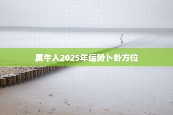 属牛人2025年运势卜卦方位