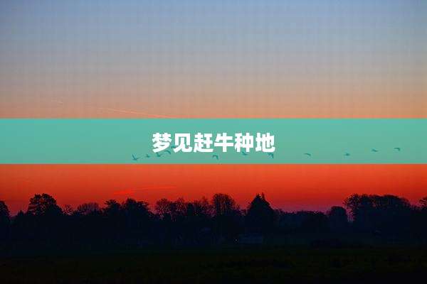 梦见赶牛种地