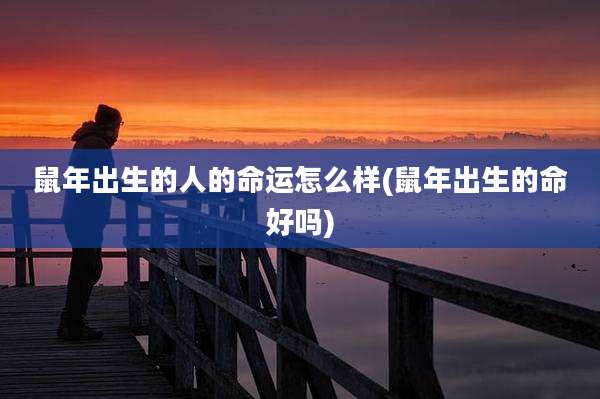 鼠年出生的人的命运怎么样(鼠年出生的命好吗)