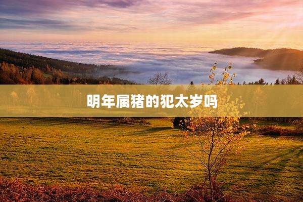 明年属猪的犯太岁吗