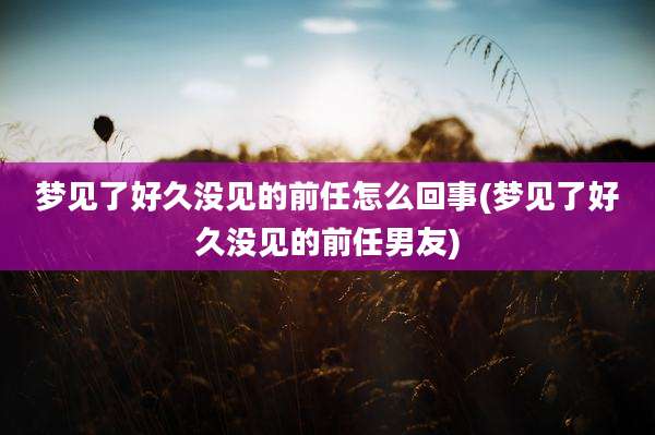 梦见了好久没见的前任怎么回事(梦见了好久没见的前任男友)