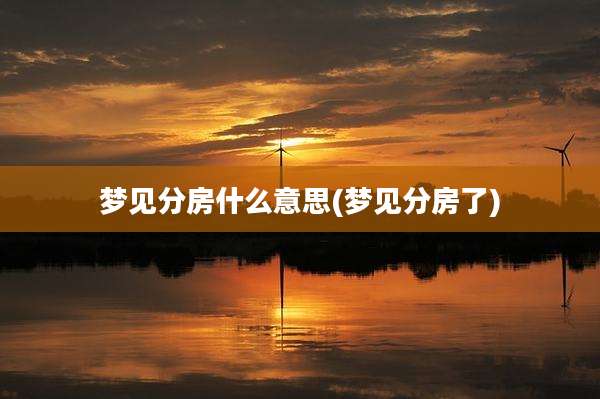 梦见分房什么意思(梦见分房了)