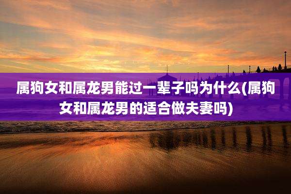 属狗女和属龙男能过一辈子吗为什么(属狗女和属龙男的适合做夫妻吗)
