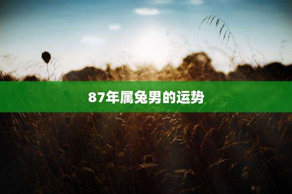 87年属兔男的运势