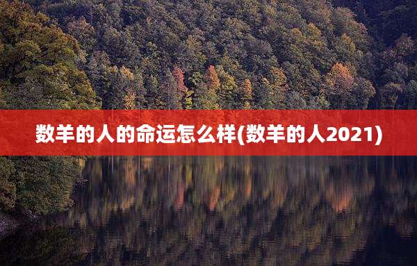 数羊的人的命运怎么样(数羊的人2021)
