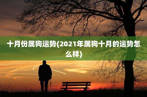 十月份属狗运势(2021年属狗十月的运势怎么样)