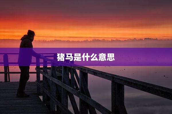 猪马是什么意思
