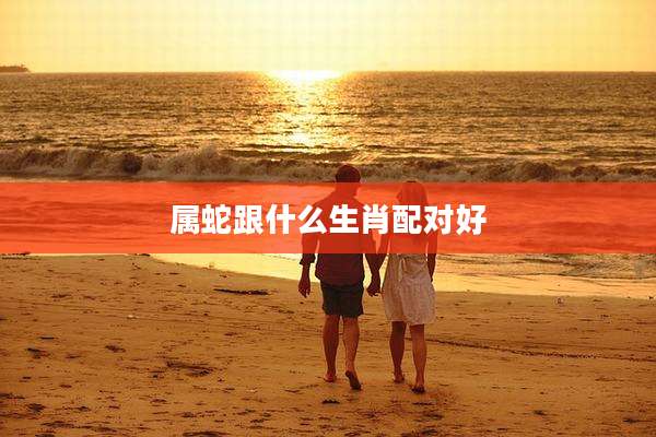 属蛇跟什么生肖配对好