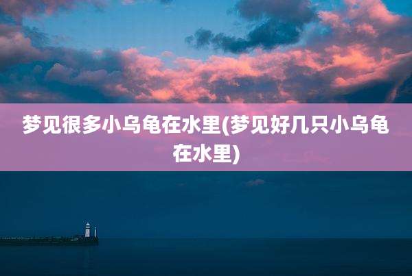 梦见很多小乌龟在水里(梦见好几只小乌龟在水里)