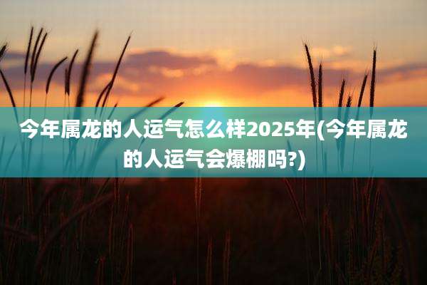 今年属龙的人运气怎么样2025年(今年属龙的人运气会爆棚吗?)