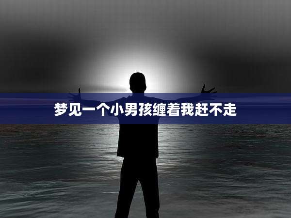 梦见一个小男孩缠着我赶不走