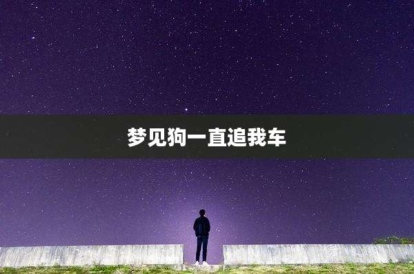梦见狗一直追我车