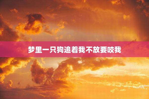 梦里一只狗追着我不放要咬我