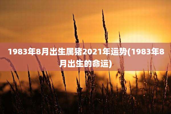 1983年8月出生属猪2021年运势(1983年8月出生的命运)