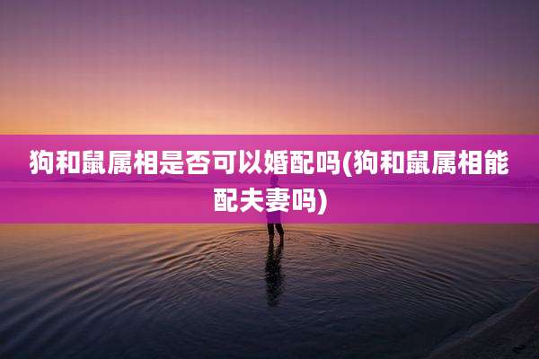 狗和鼠属相是否可以婚配吗(狗和鼠属相能配夫妻吗)