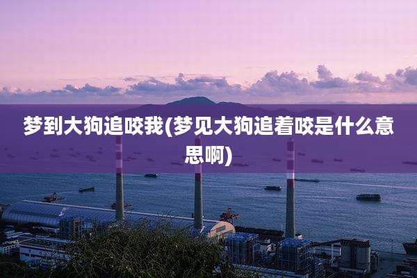 梦到大狗追咬我(梦见大狗追着咬是什么意思啊)