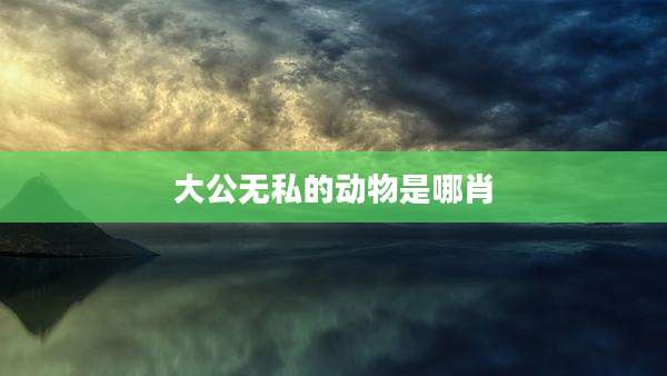 大公无私的动物是哪肖