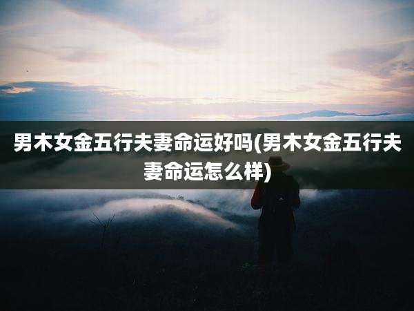 男木女金五行夫妻命运好吗(男木女金五行夫妻命运怎么样)