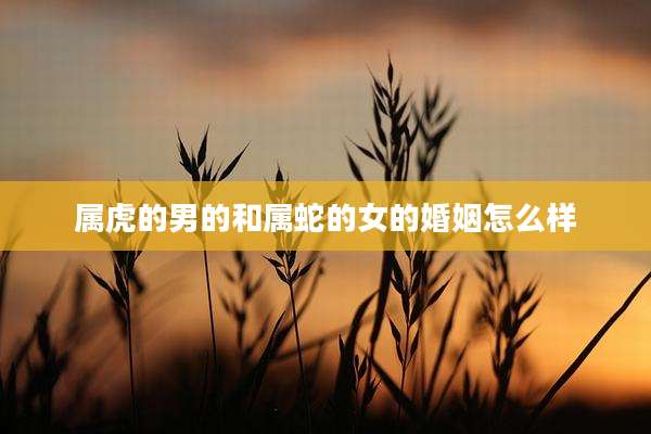 属虎的男的和属蛇的女的婚姻怎么样
