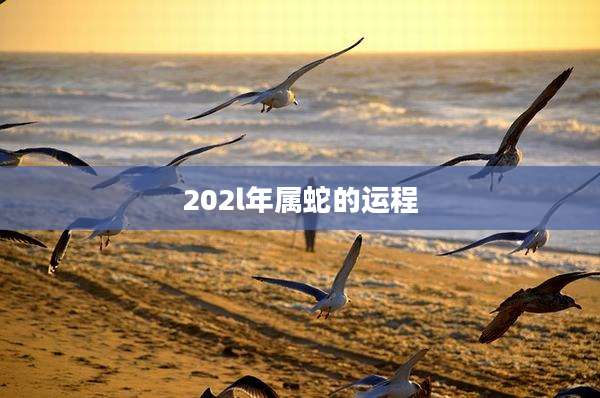 202l年属蛇的运程
