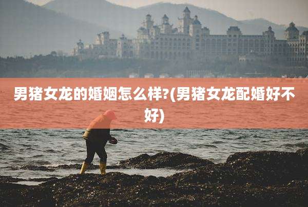 男猪女龙的婚姻怎么样?(男猪女龙配婚好不好)