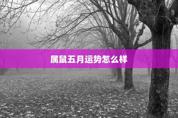 属鼠五月运势怎么样