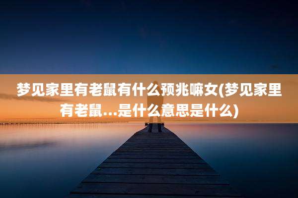 梦见家里有老鼠有什么预兆嘛女(梦见家里有老鼠…是什么意思是什么)