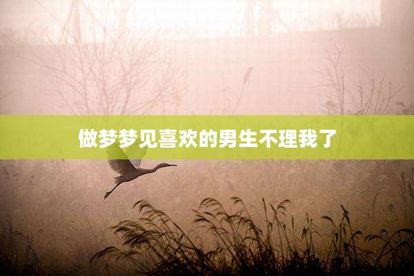 做梦梦见喜欢的男生不理我了