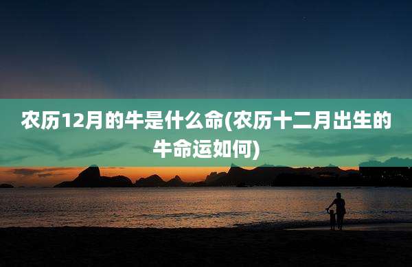农历12月的牛是什么命(农历十二月出生的牛命运如何)