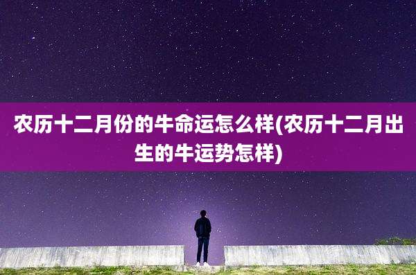 农历十二月份的牛命运怎么样(农历十二月出生的牛运势怎样)
