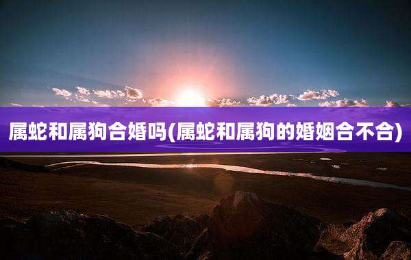 属蛇和属狗合婚吗(属蛇和属狗的婚姻合不合)