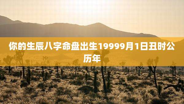 你的生辰八字命盘出生19999月1日丑时公历年