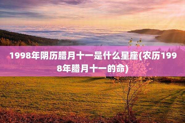 1998年阴历腊月十一是什么星座(农历1998年腊月十一的命)