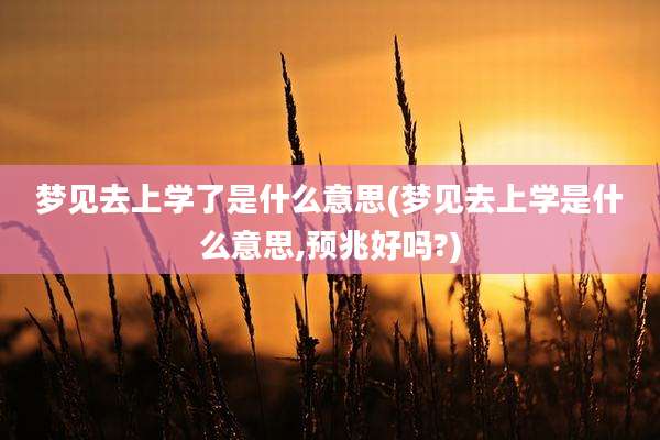 梦见去上学了是什么意思(梦见去上学是什么意思,预兆好吗?)