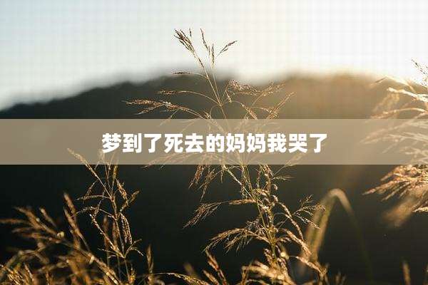 梦到了死去的妈妈我哭了