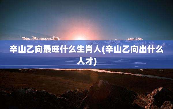 辛山乙向最旺什么生肖人(辛山乙向出什么人才)