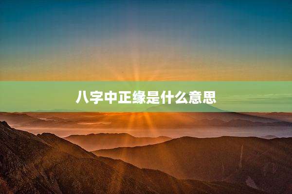 八字中正缘是什么意思